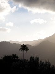 Fototapeta na wymiar palm trees and misty mountains in the background, cloudy sky above. Vertical image