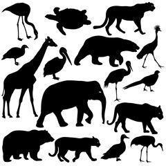 Silhouette elephant tiger bear giraffe flamingo pelican goose on a white background