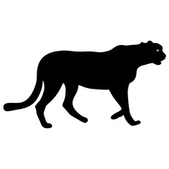 Fototapeta premium Silhouette beautiful jaguar on a white background