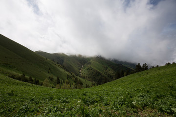 Naklejka na ściany i meble The formation and movement of clouds over the summer slopes of Adygea Bolshoy Thach and the Caucasus Mountains