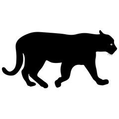Silhouette beautiful panther on a white background