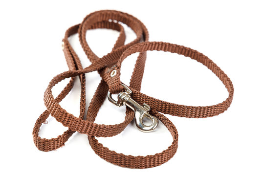 Doggy leather belt collar leash on white background.