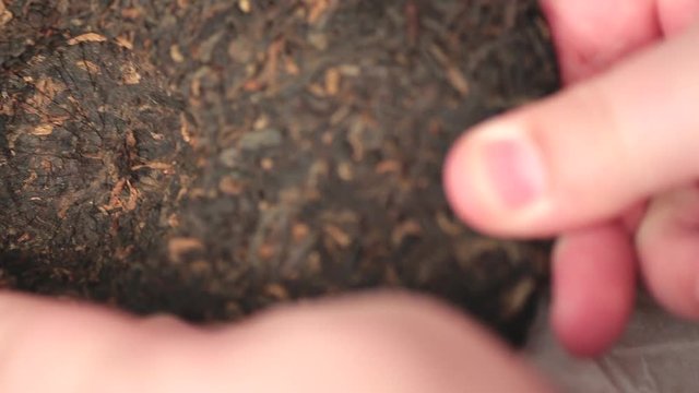 Old Shu Puerh Chinese fermented black tea, top view, macro shot
