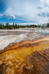 Natural Hot Spring, Yellowstone National Park