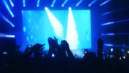  Jubelnde Menge bei einem Konzert