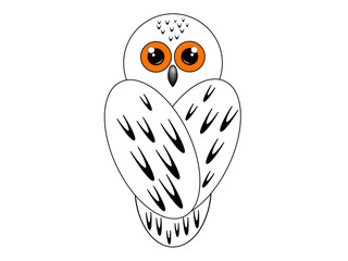 Obraz premium Snowy owl sits with his back on white background