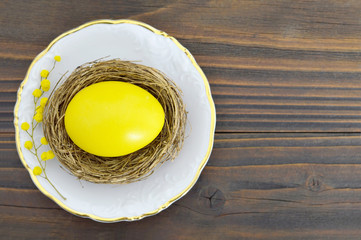 Dyed Easter egg in the nest and mimosa flower. Easter background with copy space