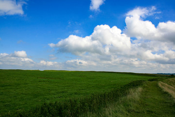 Fototapeta premium Unendliche Sommerlandschaft