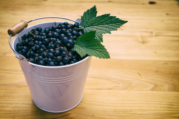 Black currants and leaves in a white bucket on wooden table