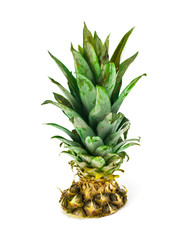 Sliced pineapple and leaves on a white background