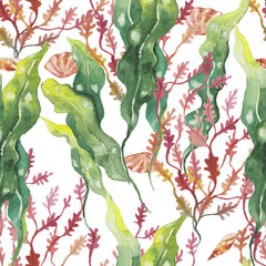seaweed and Shells on the bottom of the sea. pattern, watercolor - 185531276
