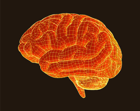 Orange brain illustraion isolated on black BG