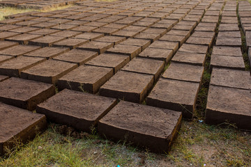 Drying adobe bricks