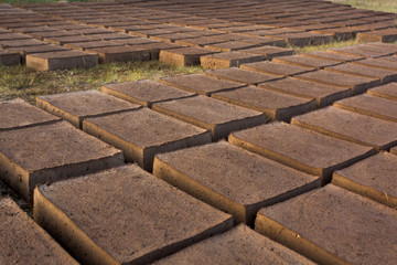 Drying adobe bricks