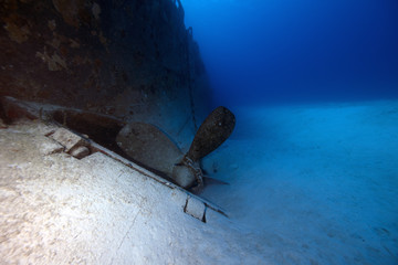 Kittiwake Wreck (BWI)