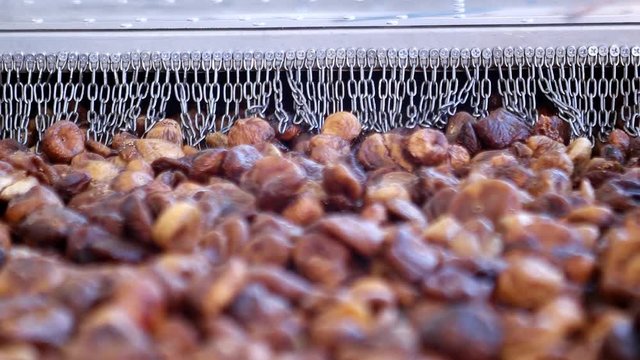 Dried figs on conveyor belt. Drying on industrial microw