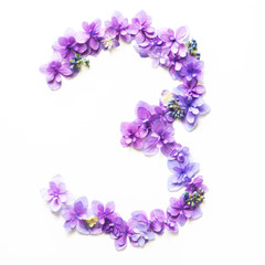 Fototapeta na wymiar Flower number on a white background