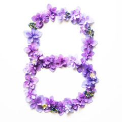 Flower number on a white background

