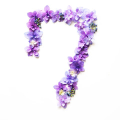 Flower number on a white background

