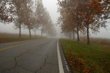 Fototapeta premium Autumn Lane