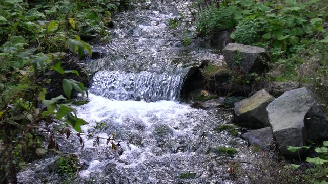 Mountain stream in forest.Ukraine.