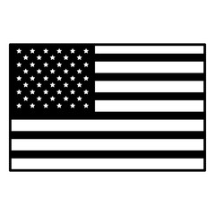 USA flag isolated icon