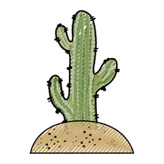 cactus in the soil  vector illustration