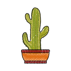 cactus in the potted  vector illustration