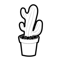 cactus in the potted  vector illustration