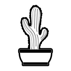 cactus in potted  vector illustration