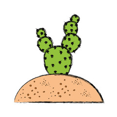 cactus in soil  vector illustration