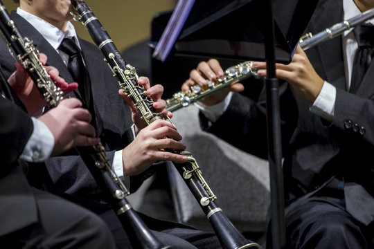 Orchestra instruments kids