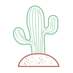 Cactus plant draw