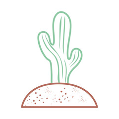 Cactus plant draw