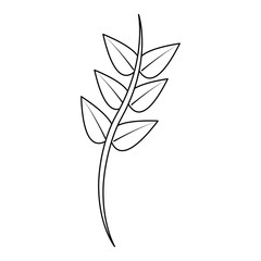 leaves on stem delicate icon image vector illustration design 