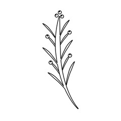 leaves on stem delicate icon image vector illustration design 