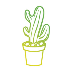 Cactus in pot draw