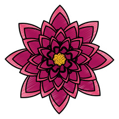 flower purple petals floral icon image vector illustration design
