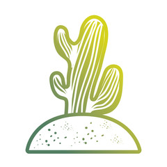 Cactus plant draw