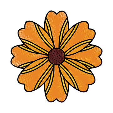 flower yellow floral icon image vector illustration design