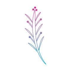 Fototapeta na wymiar leaves on stem delicate icon image vector illustration design 