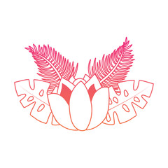 Fototapeta premium flower tropical plant leaves exotic nature vector illustration