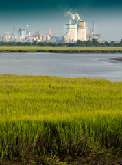 Precious green marshland adjacent to industrial processing plant