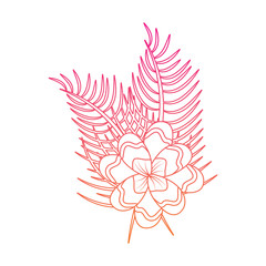 flower tropical plant leaves exotic nature vector illustration