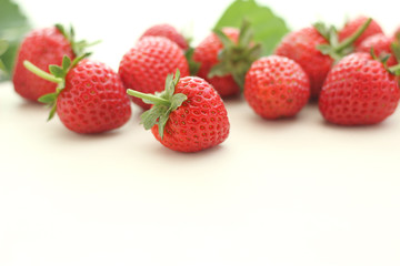 採れたていちごがたくさん