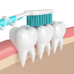 Fototapeta na wymiar 3d render of teeth with toothbrush