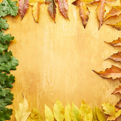Naklejka na ściany i meble Wooden background. Autumn colorful leaves
