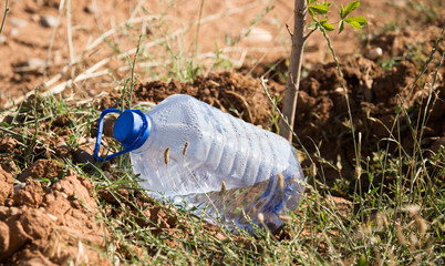 Plastic water bottle for watering in the garden