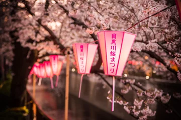 Fotobehang 満開の桜とやわらかな明かりを灯す目黒川桜まつりの提灯 / The lanterns of the "Meguro River Cherry Blossom Festival" that shine in pink. Meguro, Tokyo, Japan. © picture cells