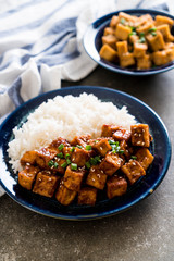 stir fried tofu with spicy sauce on rice